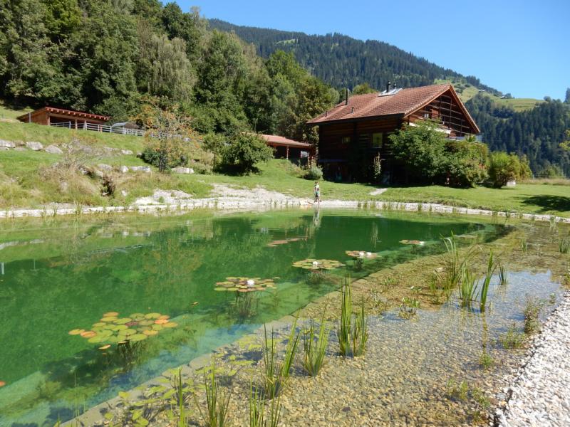 piscine naturelle